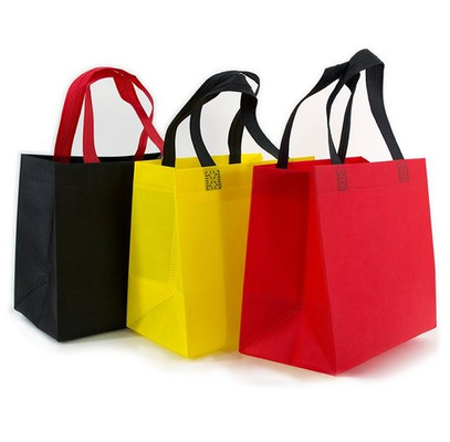 sac fourre-tout réutilisable de la couleur 700mm pp du polypropylène 10 de sacs d'épicerie de 300mm